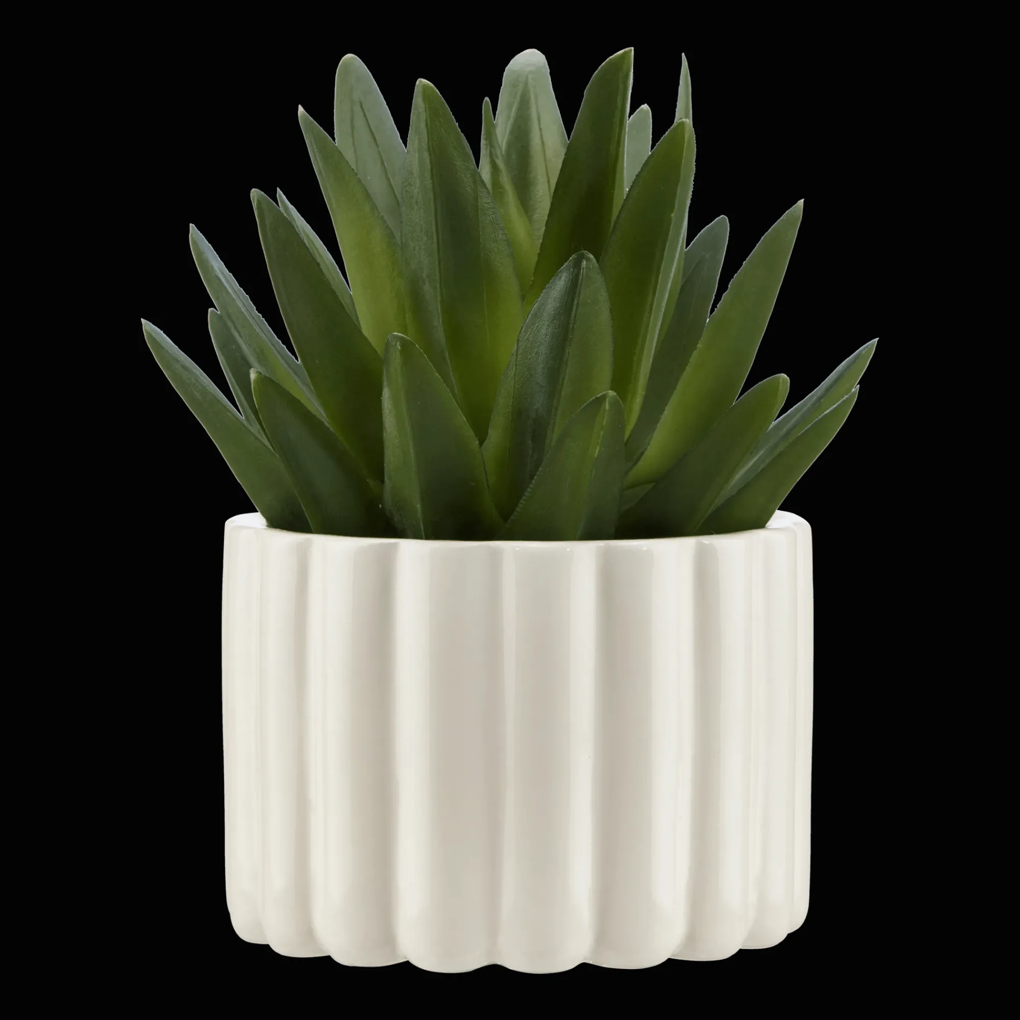 Clearance Bouclair Agave in Pot