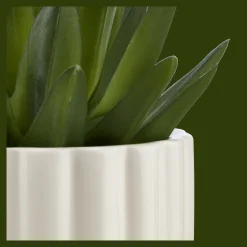 Clearance Bouclair Agave in Pot