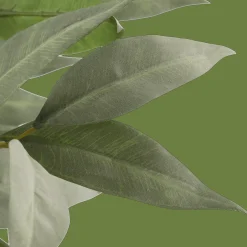 Hot Bouclair Aritificial Eucalyptus Plant in Ceramic Pot