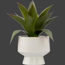 Best Bouclair Artificial Aloe in Ceramic Pot