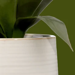 Best Bouclair Artificial Aloe in Ceramic Pot