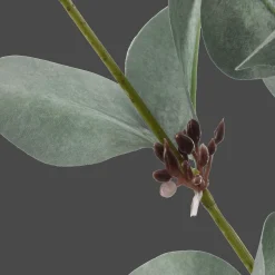 Outlet Bouclair Artificial Eucalyptus Stem
