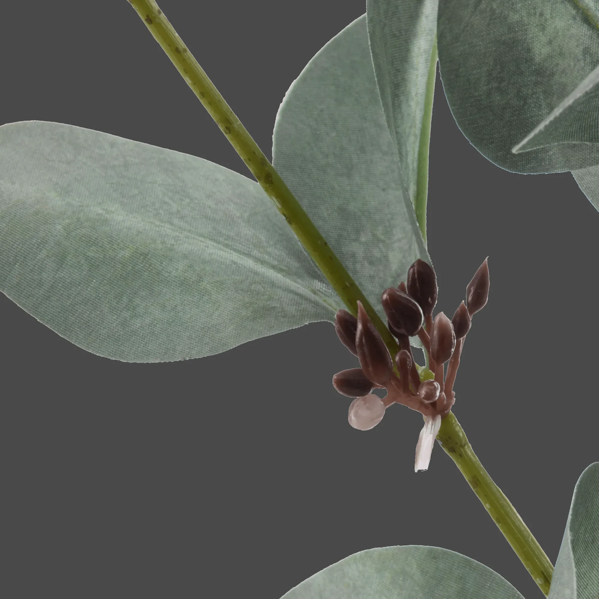 Outlet Bouclair Artificial Eucalyptus Stem