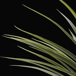 Clearance Bouclair Artificial Exotic Floor Plant in White Pot