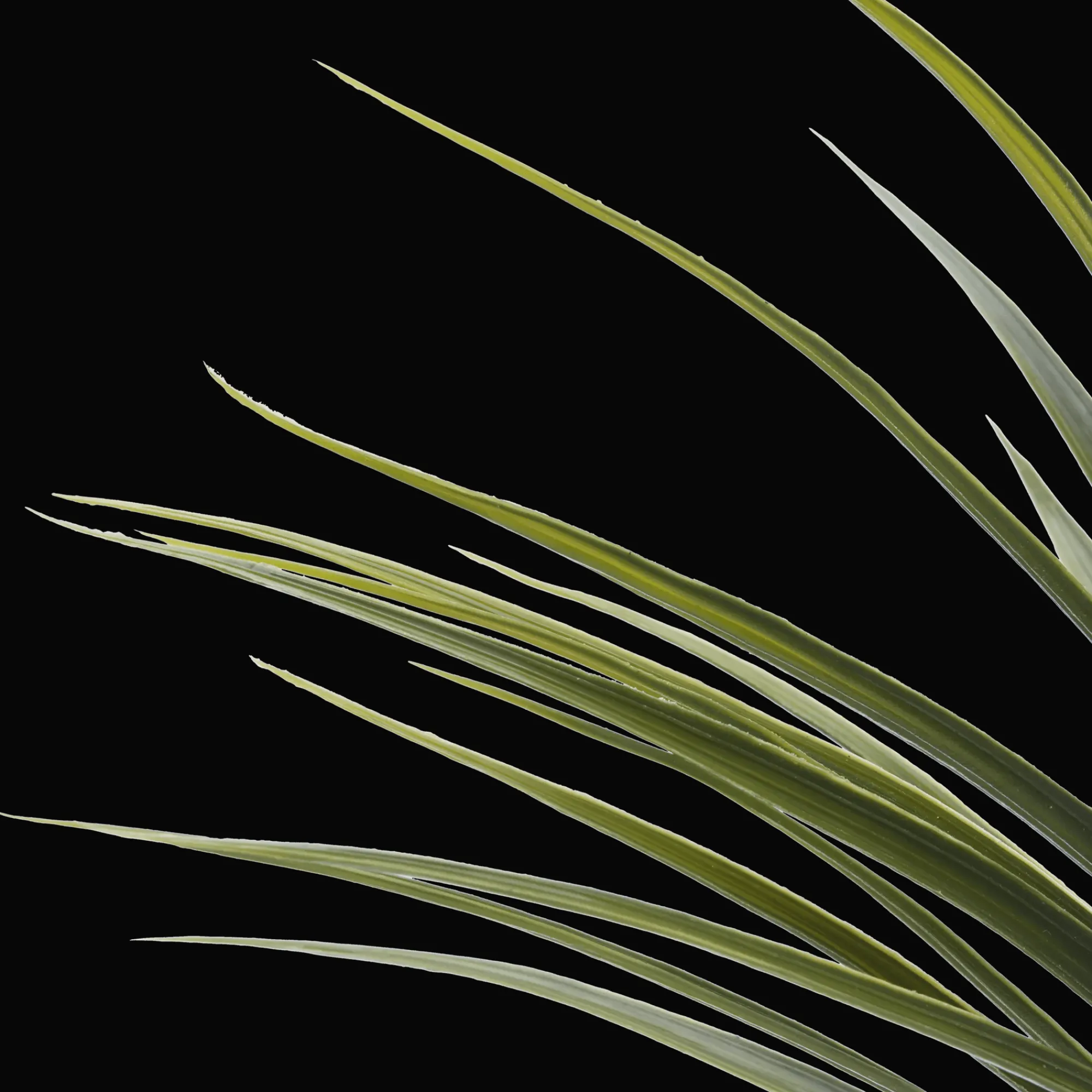 Clearance Bouclair Artificial Exotic Floor Plant in White Pot