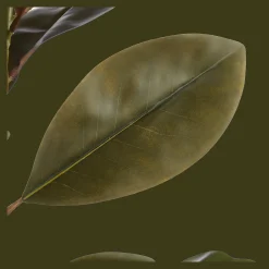 Hot Bouclair Artificial Ficus Tree