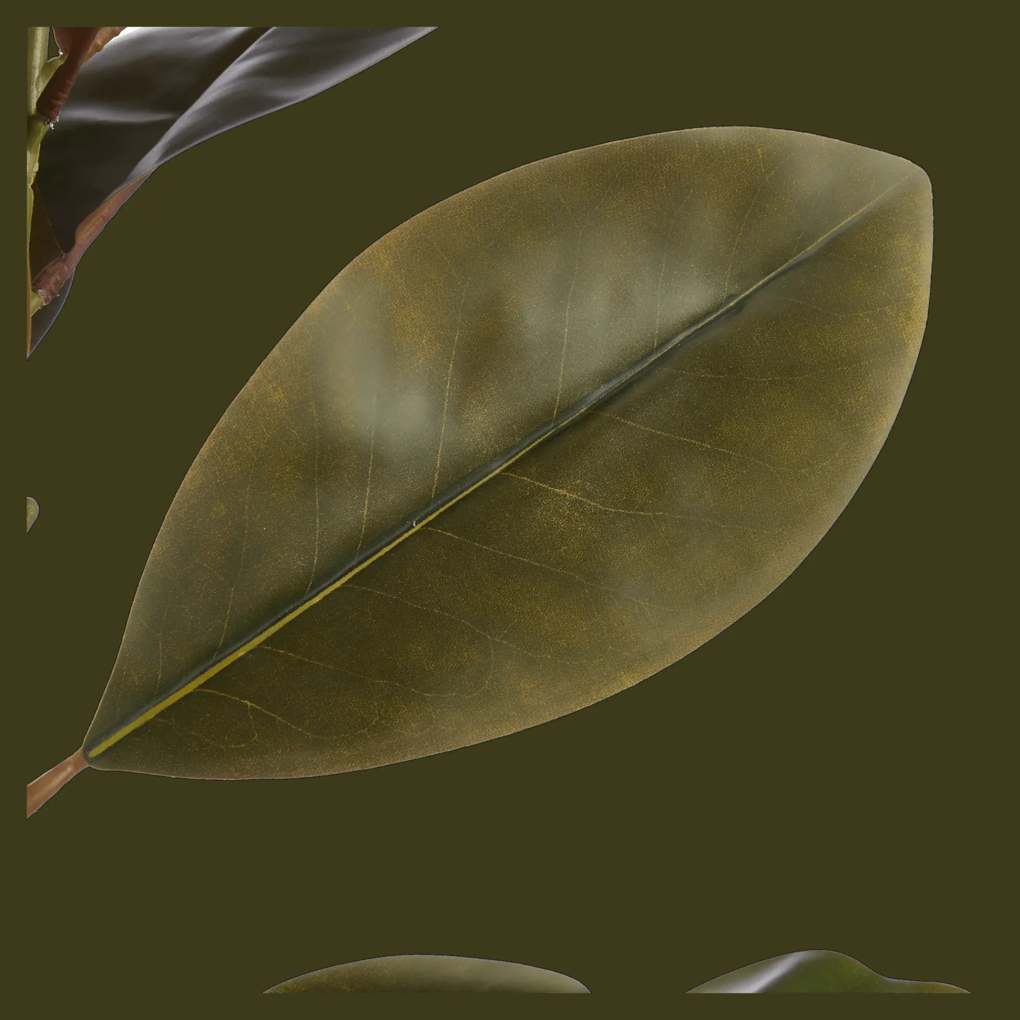 Hot Bouclair Artificial Ficus Tree