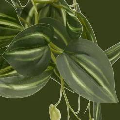 Discount Bouclair Artificial Fittonia in Wood Pot