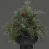 Best Bouclair Artificial Juniper in Pot