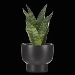 Hot Bouclair Artificial Plant in Black Matte Ceramic Pot