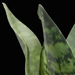 Hot Bouclair Artificial Plant in Black Matte Ceramic Pot