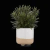 New Bouclair Artificial Plant in Ceramic Pot