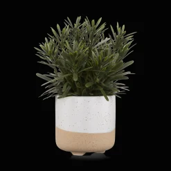 New Bouclair Artificial Plant in Ceramic Pot