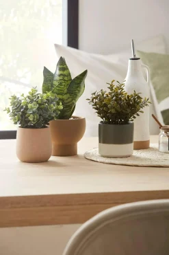 Bouclair Artificial Plant in Ceramic Pot