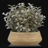 Clearance Bouclair Artificial Plant in Ceramic Pot
