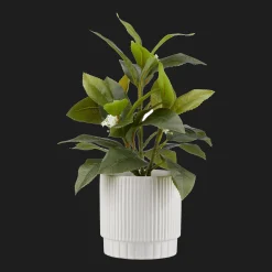 Best Bouclair Artificial Plant in Striped Pot