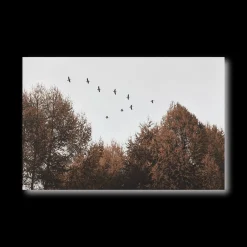 Best Bouclair Birds over Fall Forest Printed Canvas