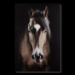 Online Bouclair Brown Horse Printed Canvas