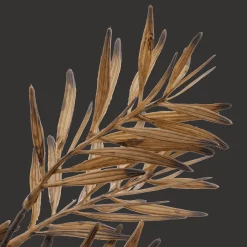 Discount Bouclair Brown Wild Leaves Stem