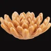 Hot Bouclair Ceramic Flower