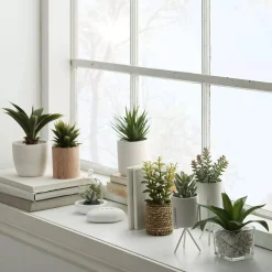 Bouclair Ceramic Potted Tropical Plant