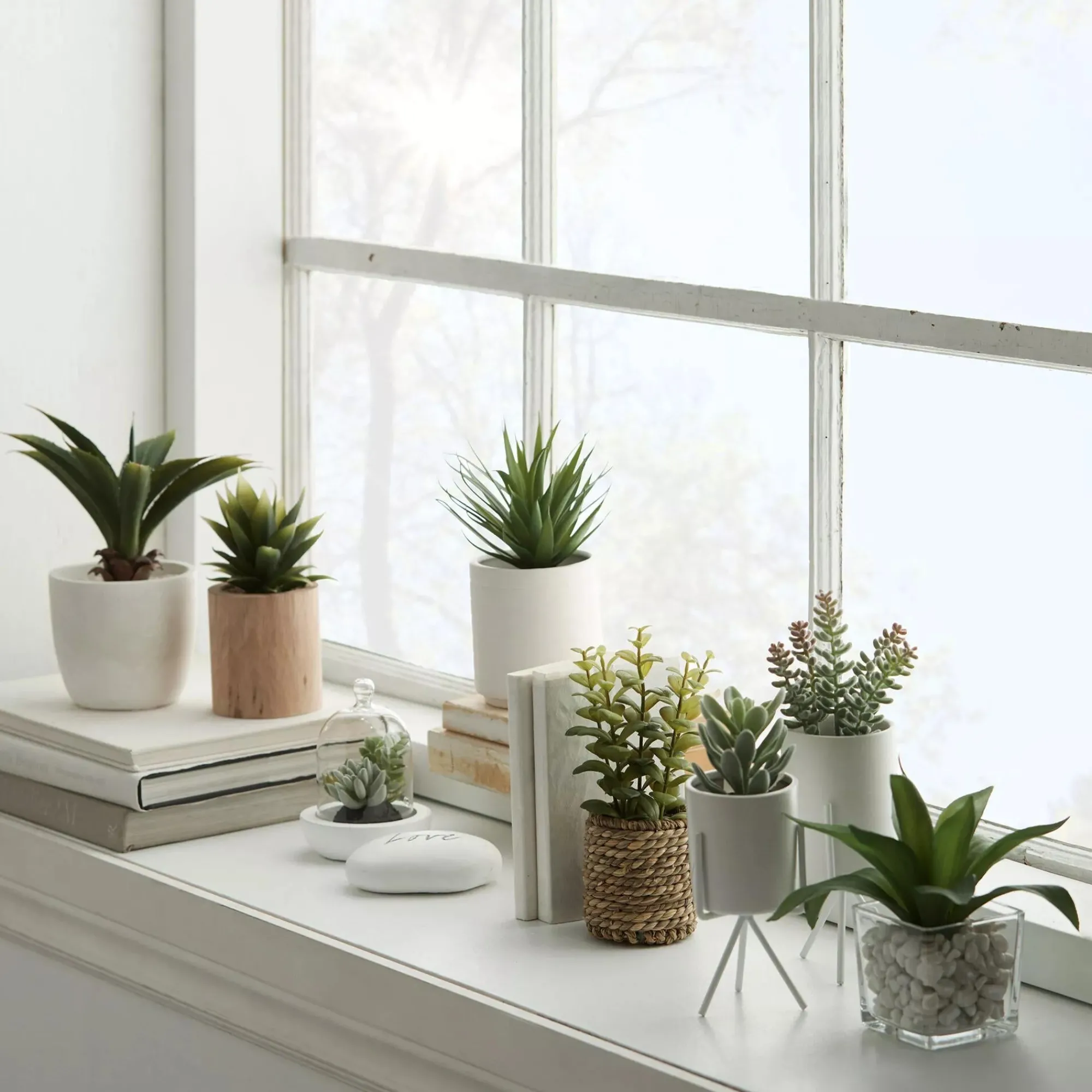 Bouclair Ceramic Potted Tropical Plant