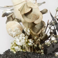 Discount Bouclair Decorative Stems in Glass Dome