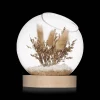 Best Bouclair Dried Flowers Glass Dome