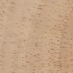 Best Bouclair Dried Flowers Glass Dome