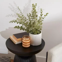 Discount Bouclair Eucalyptus in Ceramic Pot