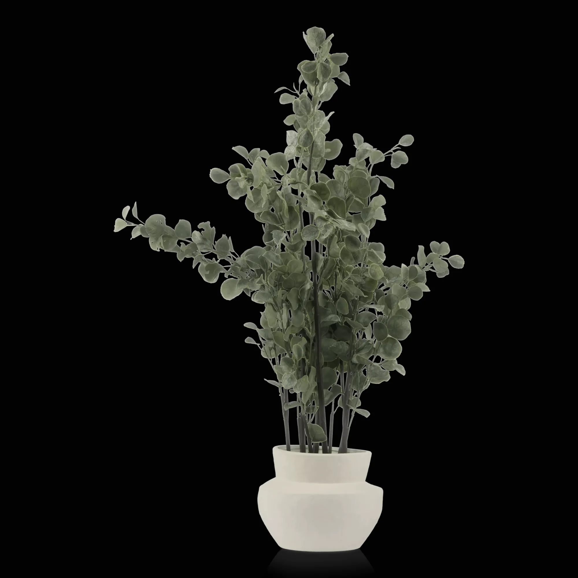 Hot Bouclair Eucalyptus Tree