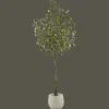 New Bouclair Eucalyptus Tree