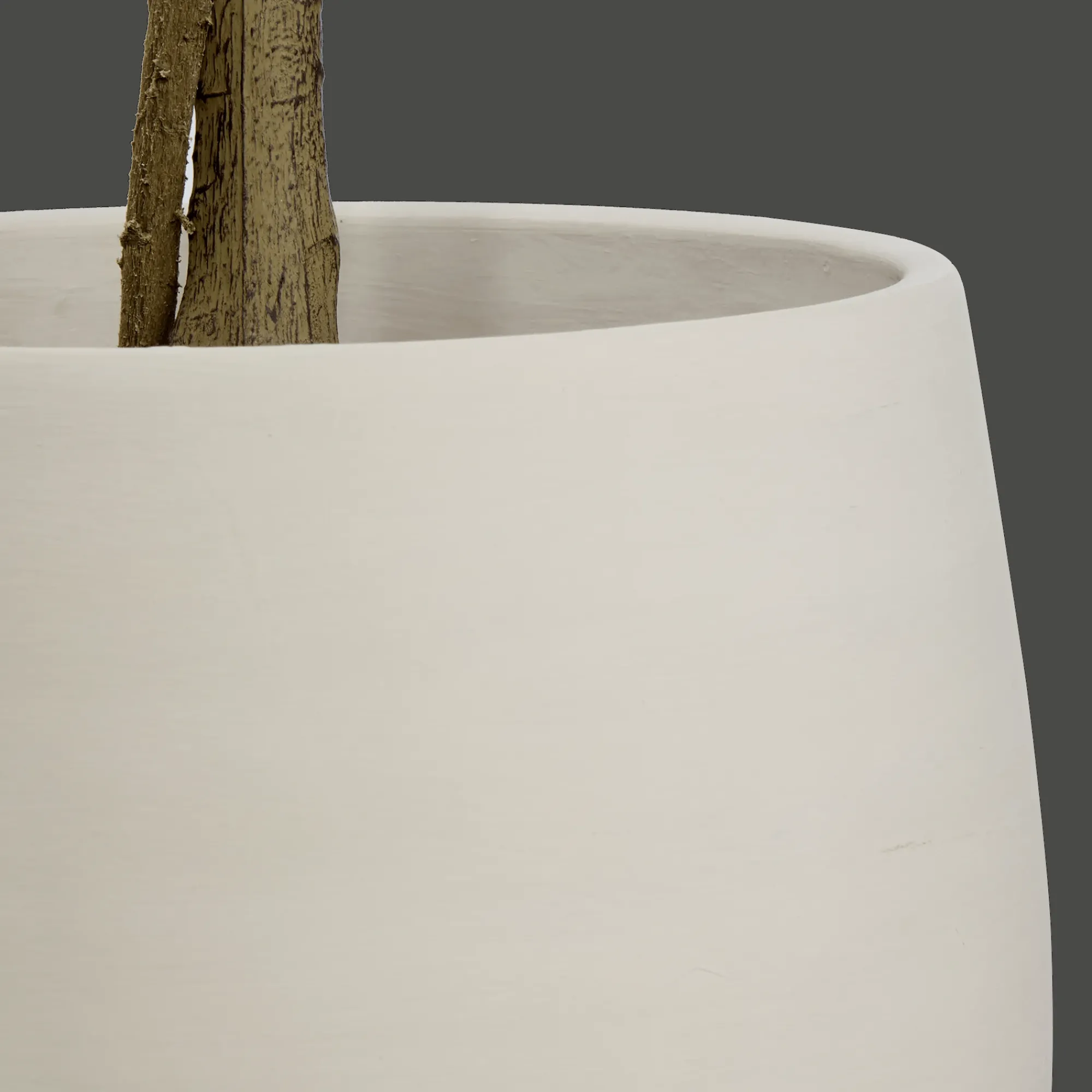 New Bouclair Eucalyptus Tree