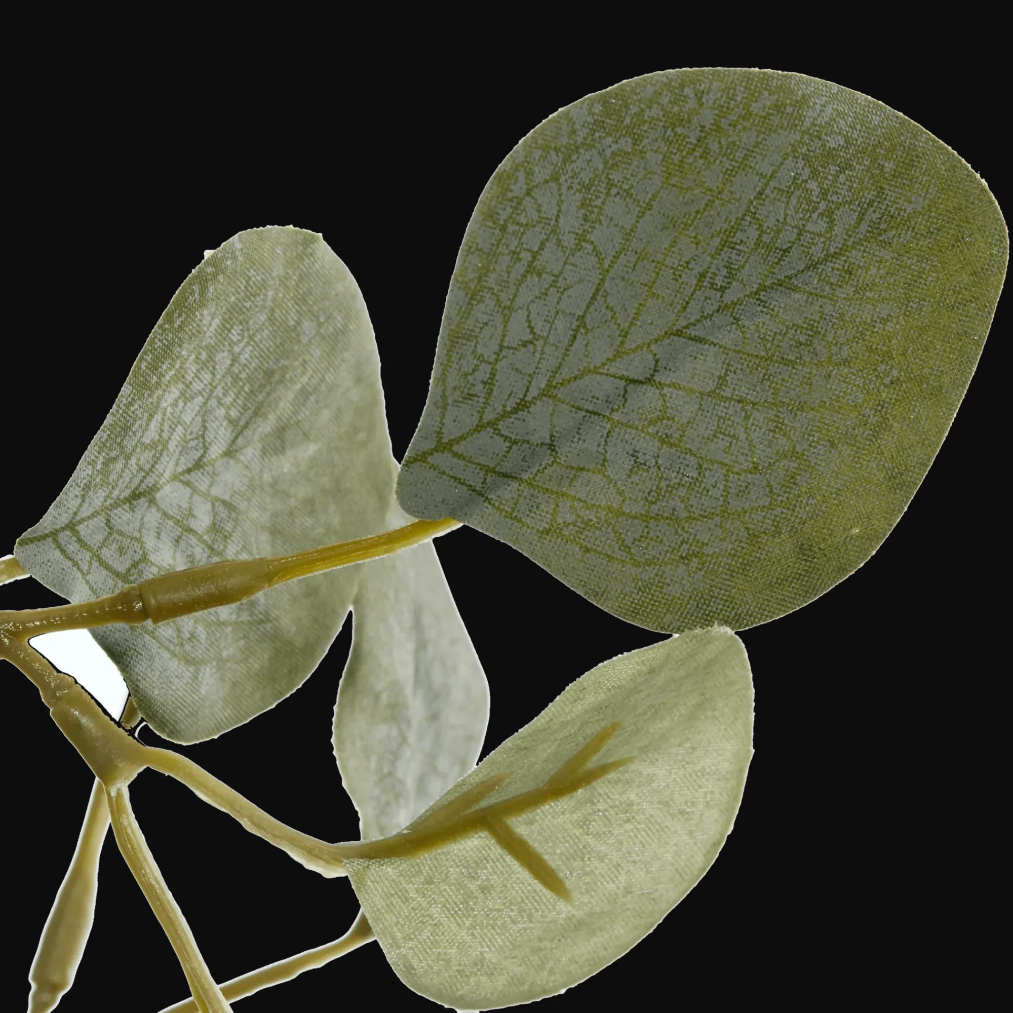 New Bouclair Eucalyptus Tree