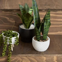 Outlet Bouclair Faux Rattan Ceramic Pot with Artificial Plant