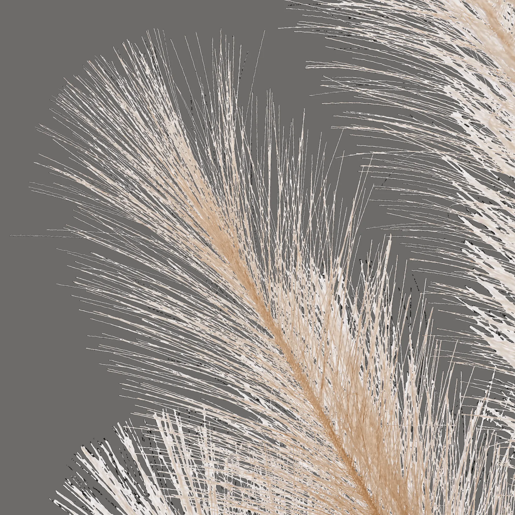 Discount Bouclair Faux Stem