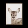 Outlet Bouclair Fawn Framed Art