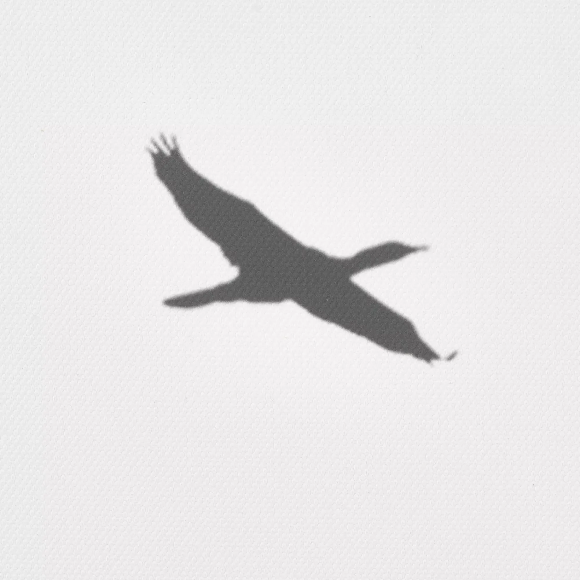 Sale Bouclair Flock of Birds Framed Canvas