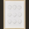Best Bouclair Framed Art 3D Shells