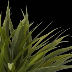 Hot Bouclair Grass in Ceramic Pot