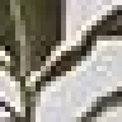 Hot Bouclair Green Leaves Framed Canvas