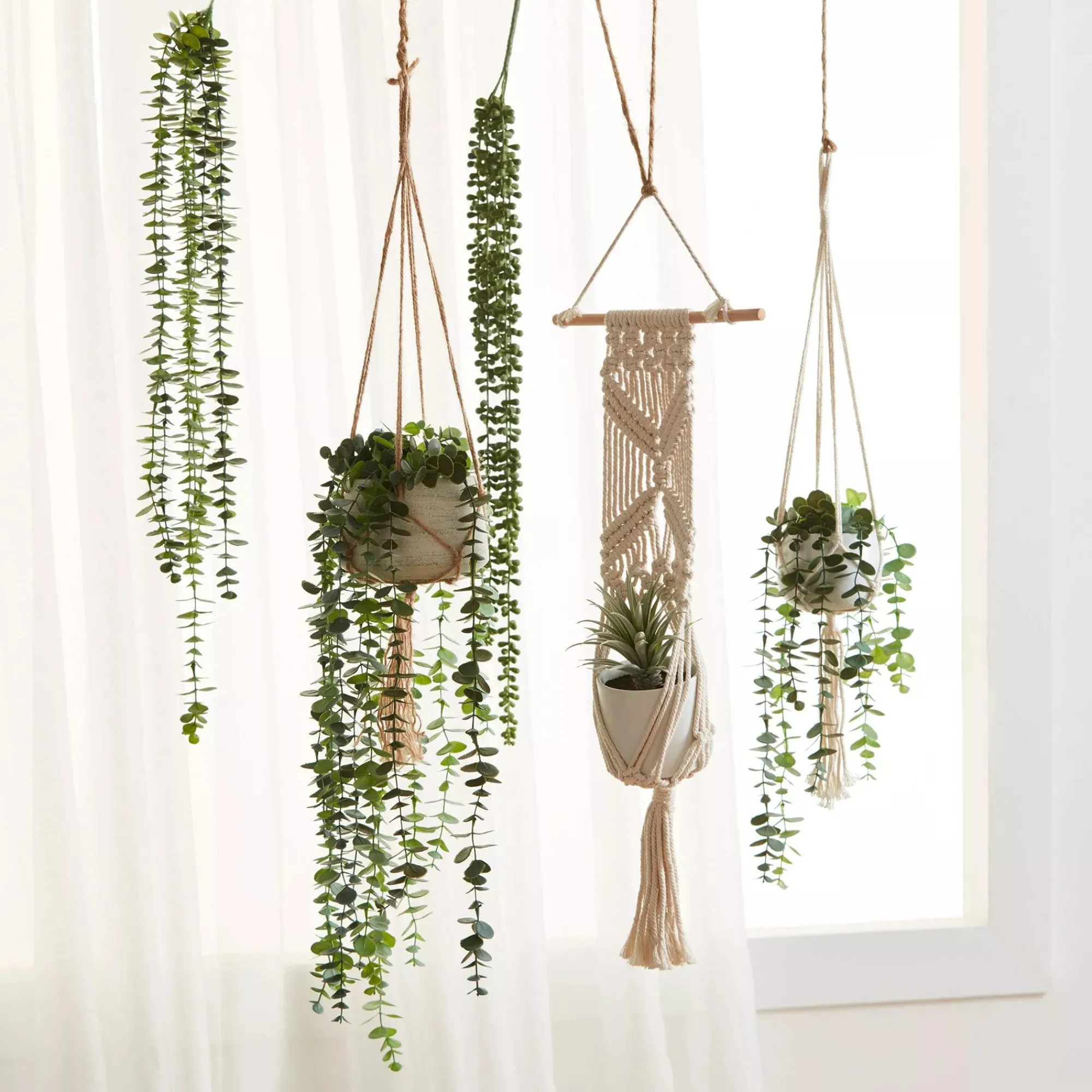 Online Bouclair Hanging Eucalyptus