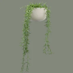 Outlet Bouclair Hanging Vine in Ceramic Pot