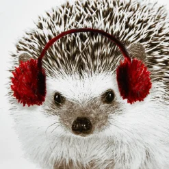 Online Bouclair Hedgehog Canvas Framed Art