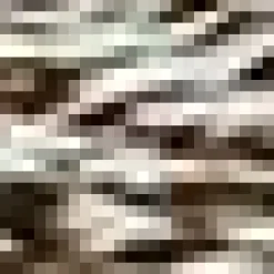 Online Bouclair Hedgehog Canvas Framed Art