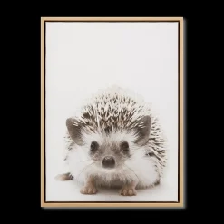 Online Bouclair Hedgehog Framed Canvas
