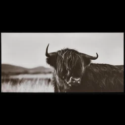 Best Bouclair Highland Cow in Grass Framed Art