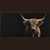 Discount Bouclair Highland Cow Profile Framed Canvas