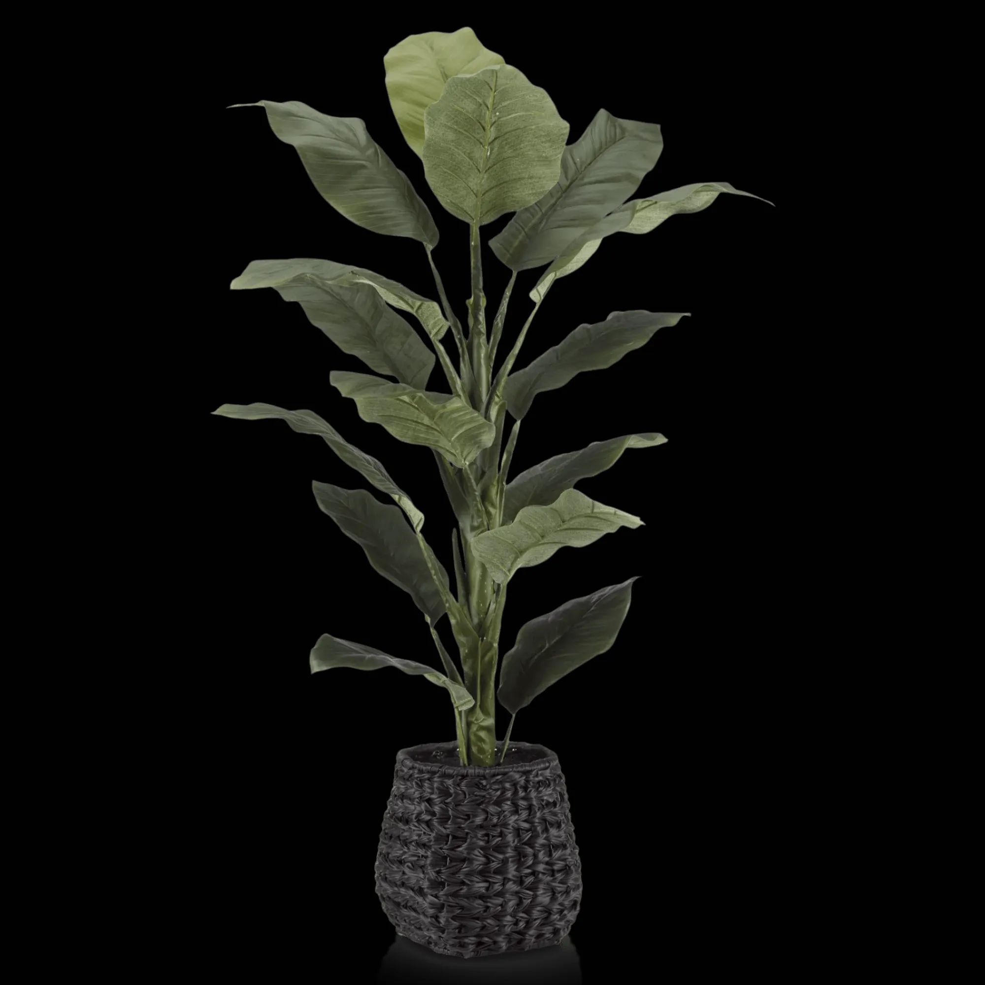 Online Bouclair Large Ficus in Black Rattan Pot