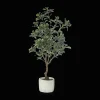 Best Bouclair Large Artificial Aralia Tree